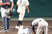 甲子園で押し出しサヨナラ危険球するピッチャーに投げつけたいもの