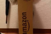飼い主「そこまでして乗りたいのか……」　猫ちゃんがダンボール箱の上で奇跡のバランスを披露