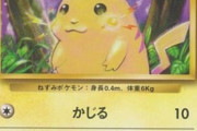 【悲報】日本人「ポケモンカードを始発で買いに行くぞ」中国人＆ベトナム人「ほーんｗ」→