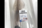 【動画】東京の鮮魚屋さん、ヤリイカを行きたまま販売してしまうｗｗｗｗ