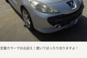 このカッコいい外車を買うことにしたんだがｗｗｗｗｗｗｗ