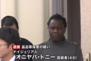 【画像】ナイジェリア人さん「盗まれたハイエースを保管してたら逮捕された。意味が分からない」