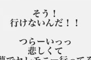【悲報】生駒里奈『撮影で絢音ちゃんのセレモニーに行けない。つらい。セレモニー行ってる夢見たくらい悲しい…』【乃木坂46】