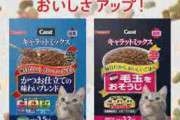 ねこCM３種【再】