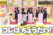 【乃木坂46】相方のためにここまで出来る日村さんカッコイイなw