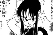 【謎】ドラゴンボールのチチをお前らがイマイチ性的な目で見ない理由