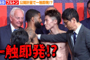 【動画】WBC・WBO タイトルマッチ 井上尚弥×フルトン❓❗