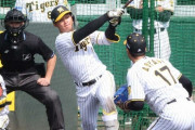ええやん！阪神・森下、実戦形式フリー打撃で6打数4安打！！153キロを右中間二塁打