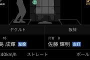 佐藤輝明、オープン戦第５号2ランホームランｗｗｗｗｗｗｗｗｗｗｗｗｗｗｗｗｗｗｗ
