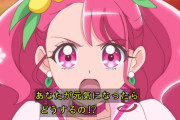 【悲報】プリキュアが助けを求める悪役を見捨てる展開にファンが激怒「あれはプリキュアじゃない」
