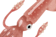 イカが高級魚になってしまったという事実