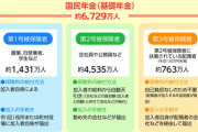 【速報】国民民主党・玉木代表、化けの皮が剥がれる「第3号被保険者の廃止こそ、まさに年収の壁の抜本解決案だ！」