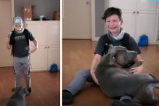 行方不明になっていた犬と感動の再会を果たした少年の様子にウルっとしてしまう