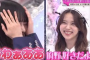 【櫻坂46】小林由依のメイド姿に興奮する的野美青