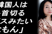 韓国「構って」　日本「…」　韓国「手首切るよ！」　日本「…」　韓国「痛い」　日本「…」　→