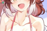 【ウマ娘】ぷにぷにコンプレックスがある女の子はこんなビキニなんて着ないんだよいい加減にしろよ！？