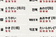 韓国人「寿司を『おまかせ』で食べる時、知って居ると便利な日本語がこちらです‥（ﾌﾞﾙﾌﾞﾙ」→「ググレば良いだろ」　韓国の反応