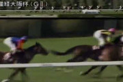 昔のレース映像見てるとサイレントハンターって馬がやたら出てくるんだが