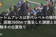 アーレムアレスは世代レベルの犠牲か、函館2600mで露呈した課題と武豊騎手の位置取り