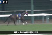 【競馬】G1オークス中継でまさかの事態　レース中にCM入りゴールまで中継できず、視聴者困惑と怒り…　勘違いでフジテレビに批判殺到  [jinjin★]
