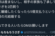 【急募】女さん、この条件で旦那さんを募集中！お前ら立候補しないか？
