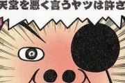 任豚「マリオは国民的キャラ」一般人「はあ？」