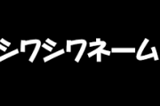 私の名前ってシワシワネームなのかなと思った瞬間