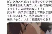 【悲報】本田未央 競馬さん、ピンクカメハメハの落馬をネタにして遂に炎上