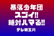 【韓国】テレ朝玉川「暴落少年団すごい！絶対ハマる！」　そのまま韓国行けよ…