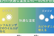 韓国人「韓国や日本のように湿度の高い国の良いところは何でしょうか？」「○○が少ないとか？」