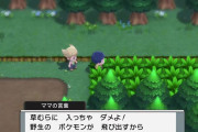 ポケモンBDSP、ポケモン持たずに旅をできてしまうｗｗ　なお詰み要素が多すぎる模様