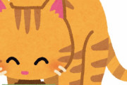 猫の餌って何あげたらいいの？