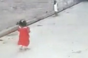 通りを歩く小さな女の子が野良犬の群れに襲われてしまう映像くっそ怖い。