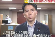 【悲報】小泉進次郎「何で農協が金融で儲けてるの？おかしいでしょ・・・・・」