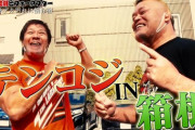 【悲報】極悪ヒールプロレスラーさん、箱根の温泉宿を襲撃