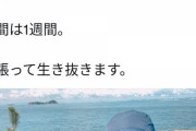 【朗報】無人島で野生のカップヌードルを発見する猛者現れるｗｗｗｗｗｗｗ