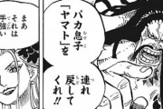【ONEPIECE -ワンピース】カイドウ｢娘が男になるとか言い出した…｣
