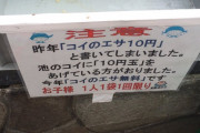 【画像あり】彡(ﾟ)(ﾟ)「はぇ～『コイのエサ10円』なんか！」
