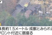 山形県米沢市 クマが温泉旅館のフロントを破壊して侵入 館内に居座る