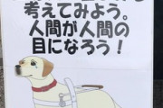 【悲報】過激派ヴィーガンさん、盲導犬にターゲットを定める