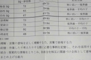 【画像】発達障害の検査結果が出たんやがこれってどうなん？