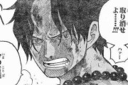 【ONE PIECE】エースの最後って、どうなってたら納得したんや？？？？？