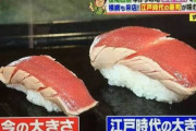 【画像】江戸時代の寿司やばすぎるｗｗｗｗｗｗｗｗｗｗｗｗｗｗｗ
