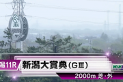 【新潟大賞典】カラテ＆菅原明良騎手がｷﾀ━━━━(ﾟ∀ﾟ)━━━━!!
