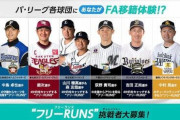 パリーグが春季キャンプ手伝いの求人募集　山川のホームランキャッチなど