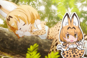 「けものフレンズ」←このアニメが一時期天下取ってた理由ｗywywywywyw