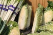 【悲報】野菜、高すぎる(本当に高い)