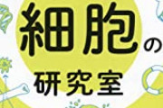 ｉＰＳ細胞から作った角膜シート移植、ほぼ失明の患者が視力回復