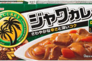 ワイ「これジャワカレーじゃねーだろ」 マッマ「こくまろが安かったから…」 パッパ「どうした？」