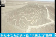 【画像】新たなナスカの地上絵「古代ネコ」が発見される?